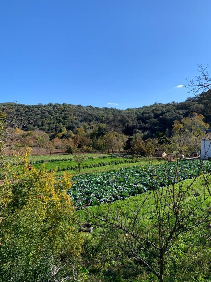 La Senda De Aroche Casa de Campo
